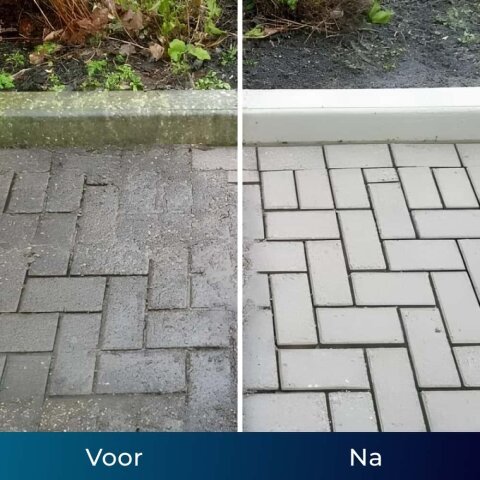 Aquoxis Pressure Washer image